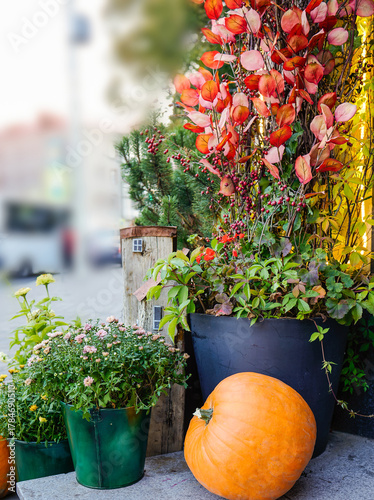 pumpkin resting by illuminated planter with red leaves and evergreen sprigs, warm street glow and soft bokeh, shop owner arranging evening curb appeal for cozy pumpkin spice season