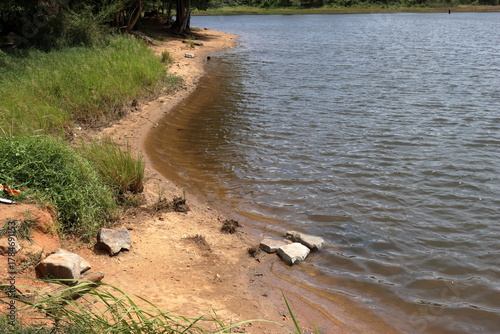 Summer landscape with lake