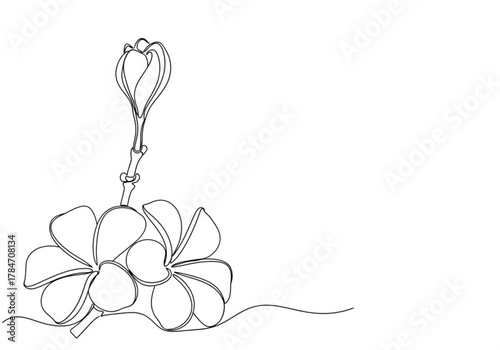 Continuous line drawing of plumeria flowers