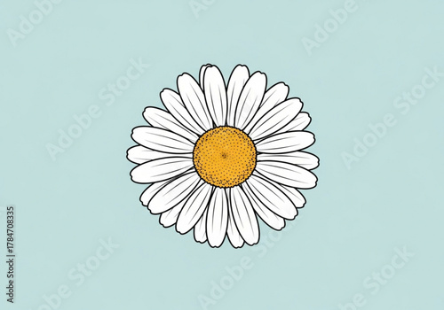 A simple illustration of a daisy flower on a light blue background