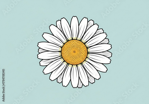 A single daisy flower with white petals and a yellow center on a light blue background