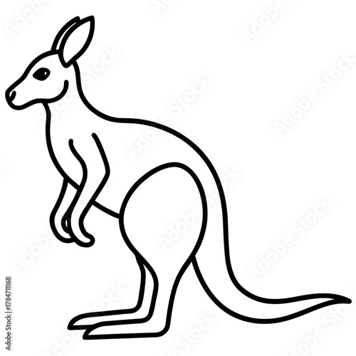 kangaroo