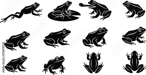 A collection of twelve stylized black frog silhouettes in various dynamic poses, isolated vector amphibian icon set 43