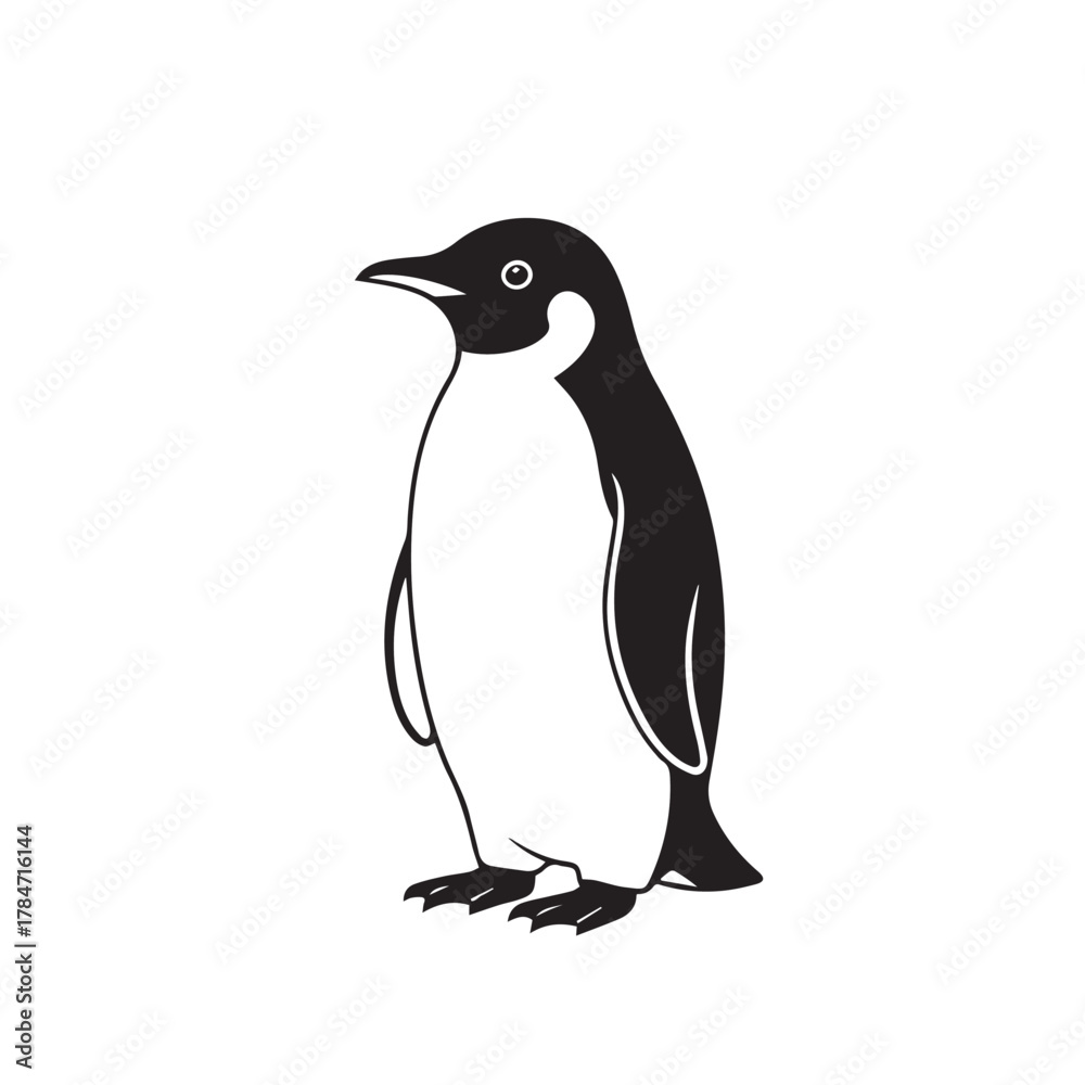 Fototapeta premium Elegant emperor penguin illustration, vector image