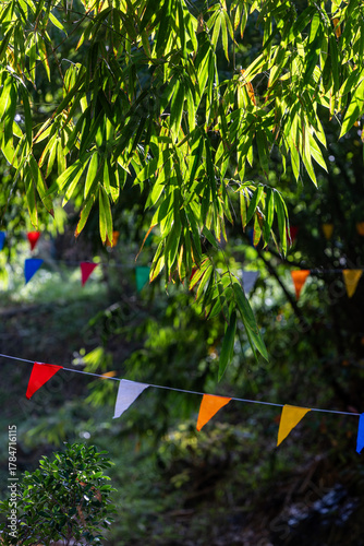 Background image of bamboo leaves in the nature of the park with morning sunlight.