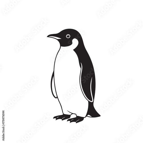 Elegant emperor penguin illustration, vector image