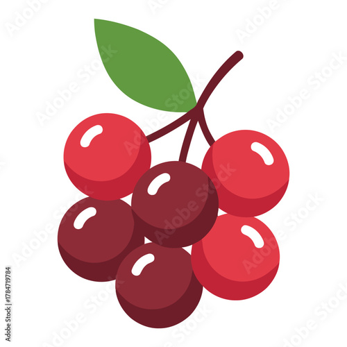 a minimalist modern vector icon of a cranberry bunch, using ruby red, deep maroon, and pine green hues, isolated on a solid white background