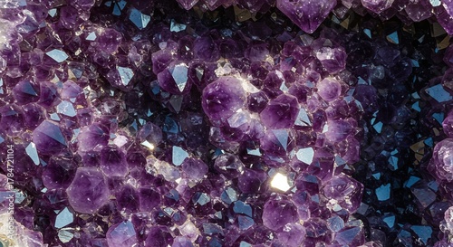 A close up view of a massive amethyst geode displaying complex crystal formations and deep violet color saturation in natural light ,magenta ,macro ,purple