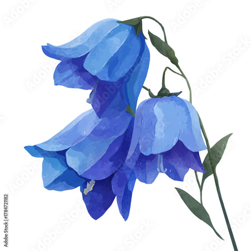An EPS format illustration, A Simple 2D vibrant bluebell flower Collection isolated on a white background, vector, watercolor simple flat 2D icon, minimalist design, collection