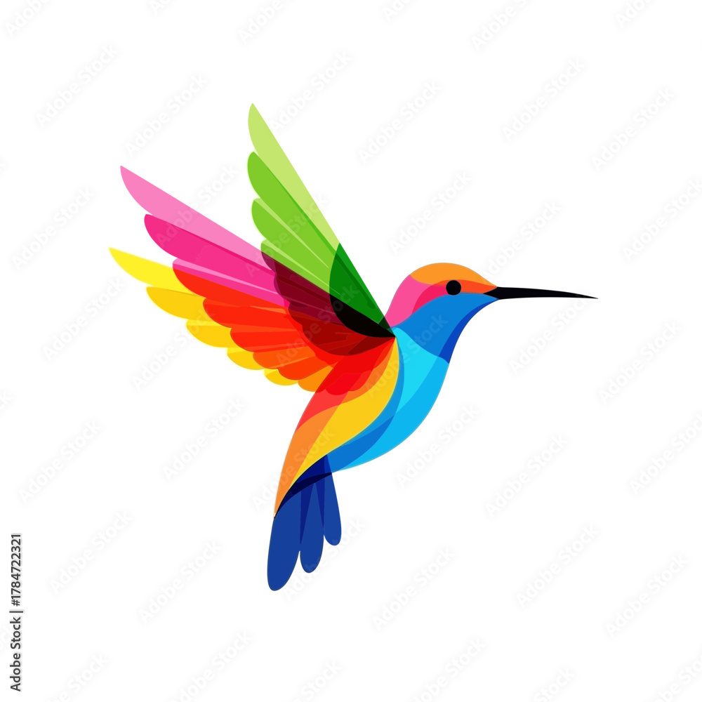 Obraz premium hummingbird in flight