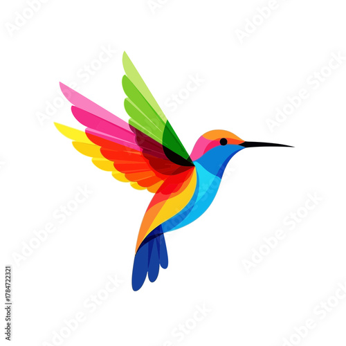 hummingbird in flight