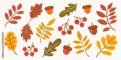A charming collection of hand drawn autumn leaves acorns and berries in warm fall colors