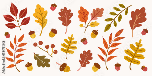 Collection of autumn leaves and acorns in warm fall colors on a white background