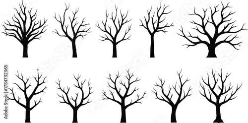 Bare winter trees silhouette collection, leafless tree branches design set, nature outline shape, seasonal forest elements, cad drawing flat vector illustration
