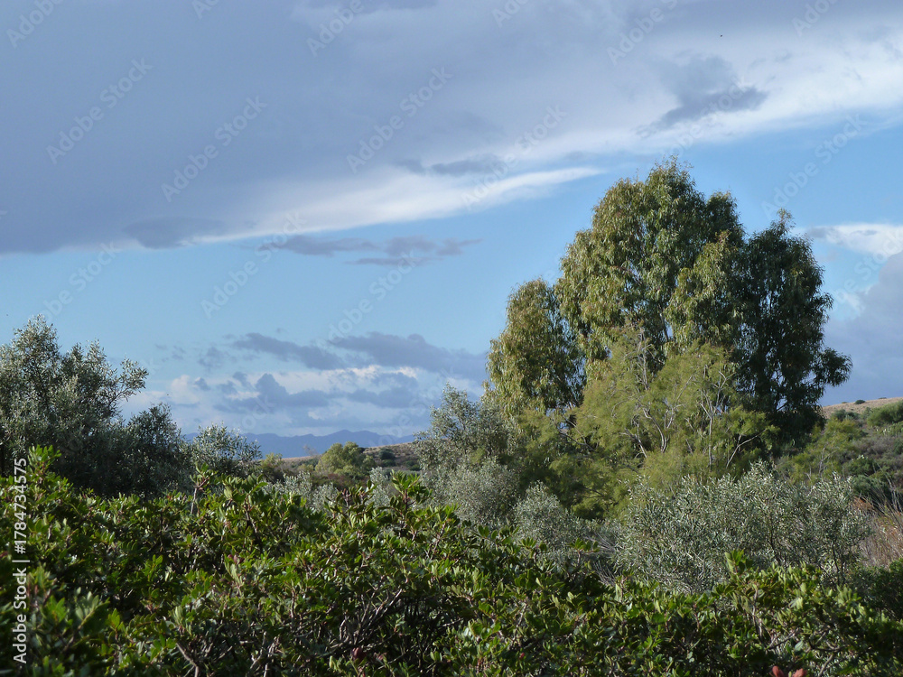 Obraz premium Sardegna