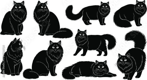 Black cat silhouette vector set, expressive feline poses, fluffy tail designs, sitting, walking, lying down, isolated on white, pet illustration collection