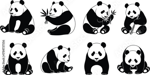 Cartoon panda vector set, cute animal poses, bamboo eating illustrations, black and white bear, Asian wildlife theme, isolated on white background