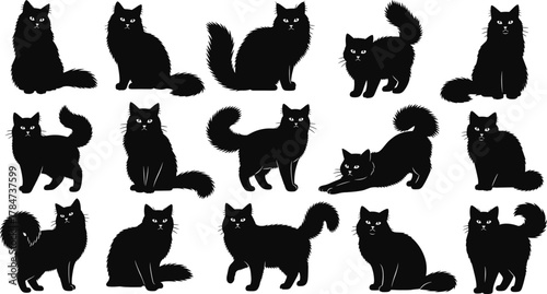 Cat silhouette vector set, black feline icons, sitting, walking, stretching poses, fluffy tail designs, isolated on white, animal illustration collection