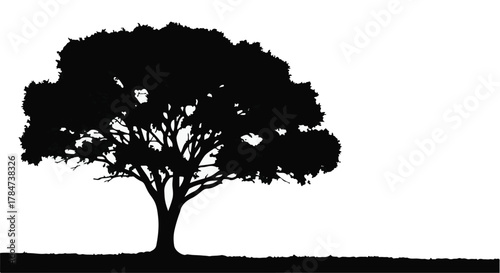 Silhouette of a majestic tree against a bright, clear sky, symbolizing nature and growth