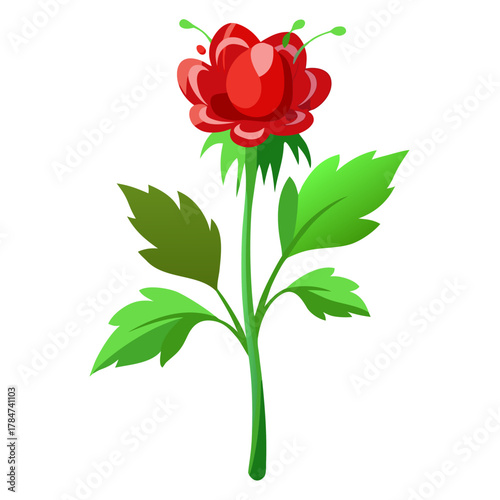 geum double bloody marry on white background