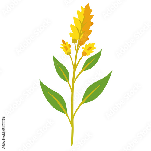 golden rod on white background