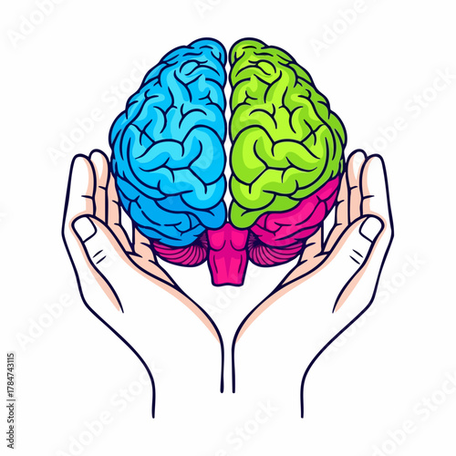 Brain image concept showcasing human brain in caring hands, promoting mental well-being. Creative brain image highlights different lobes, symbolizing intelligence and cognitive function.