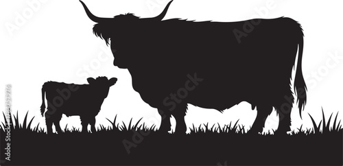 Silhouette of a highland cow and calf standing in grass