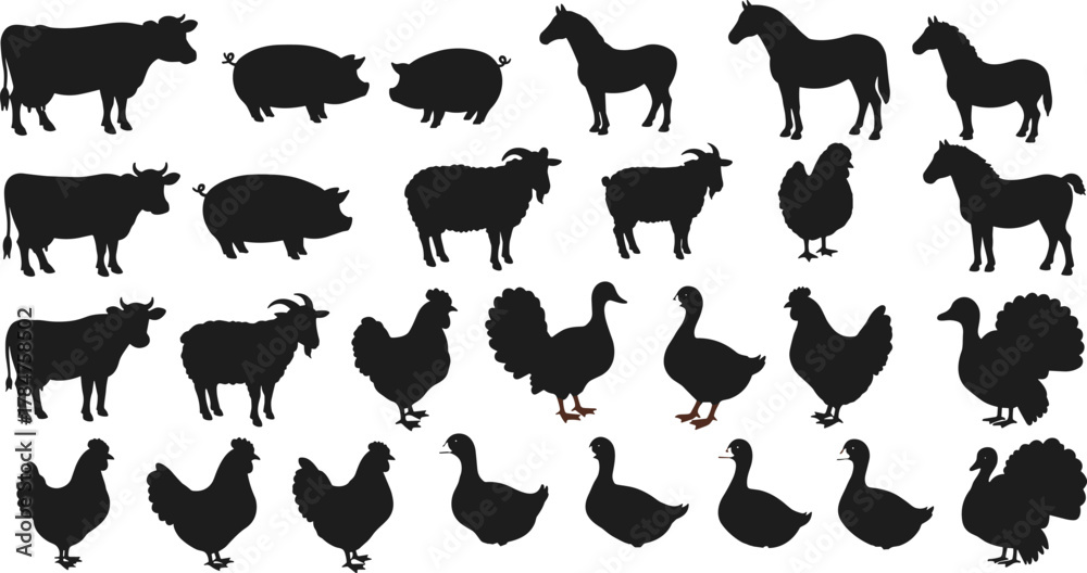 Naklejka premium Farm animal silhouettes, pig, cow, horse, goat, duck, turkey, chicken, livestock icons, black vector, cad drawing flat vector illustration