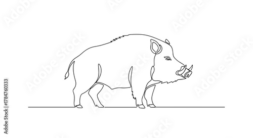 Boar illustration drawn in single line art style  