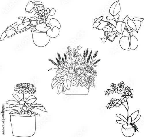 Minimalist potted plant and flower line art set. Elegant continuous line drawing of indoor plants and floral arrangements in pots and vases. Perfect for botanical illustration, home decor.