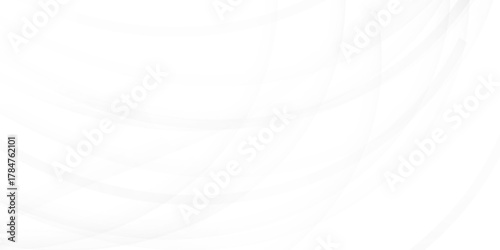 Grey and white abstract background vector, cover design template, Silver Curve vector, business flyer layout, wallpaper.