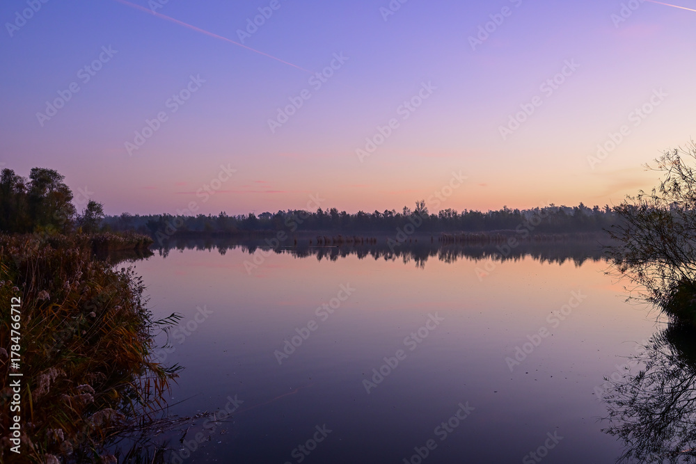 Fototapeta premium Tranquil Blue Hour: Purple Dawn Sky Reflected on Still Biesbosch Wetland Water