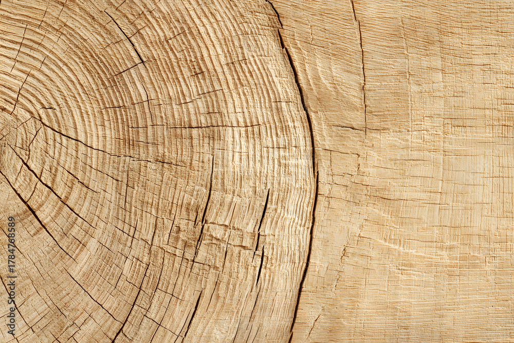 Naklejka premium wood texture background