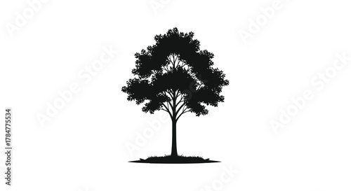A solitary deciduous tree silhouette with a full canopy of leaves stands tall against a clean white background