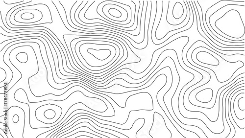 Topographic Contour Map Background. Abstract Vector Wave Grid With Mountain Relief. This Title Retains The Essential Keywords (Topographic, Vector, Contour, Map, Wave, Mountain) Abstract topographic.