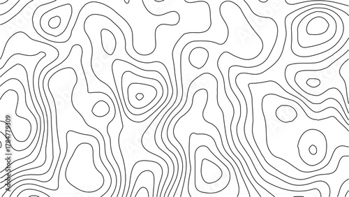 Topographic Contour Map Background. Abstract Vector Wave Grid With Mountain Relief. This Title Retains The Essential Keywords (Topographic, Vector, Contour, Map, Wave, Mountain) Abstract topographic.