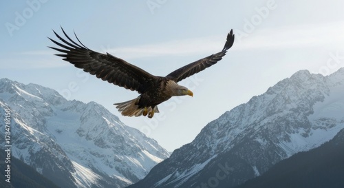 Bald eagle soars over snow-capped mountains, wings spread against clear blue sky