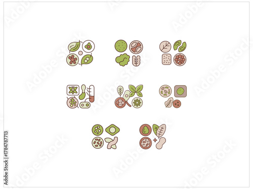 Production and Uses of Biological Products in Daily Life”,“Biological Products: Sources, Production, and Applications”

“Role of Biological Products in Medicine and Agriculture”

“Biotechnology and th