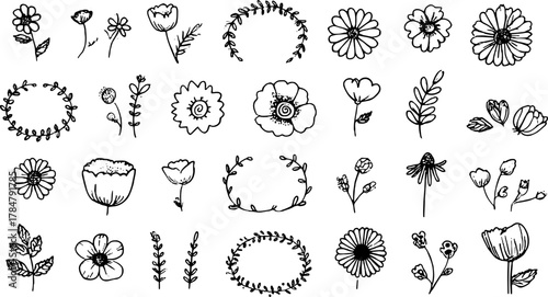 Vintage flower outline illustrations in black and white. A decorative vector set featuring various botanical elements for creative designs.