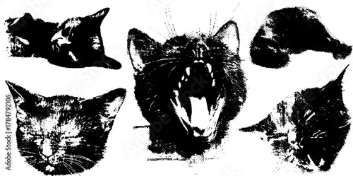 Illustration set of cats in black and white monochrome style. Vintage vector art features different cat faces and expressions in a simple design.