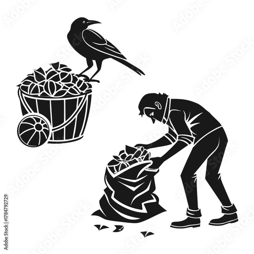 Gardener collecting fallen fruit with a crow watching from a full bucket