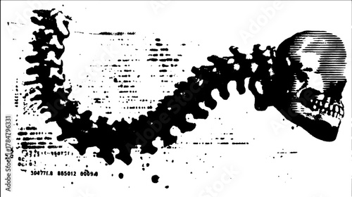 Skull and spine x-ray vector illustration in black and white. Simple and isolated graphic for medical diagnostics and educational purposes.
