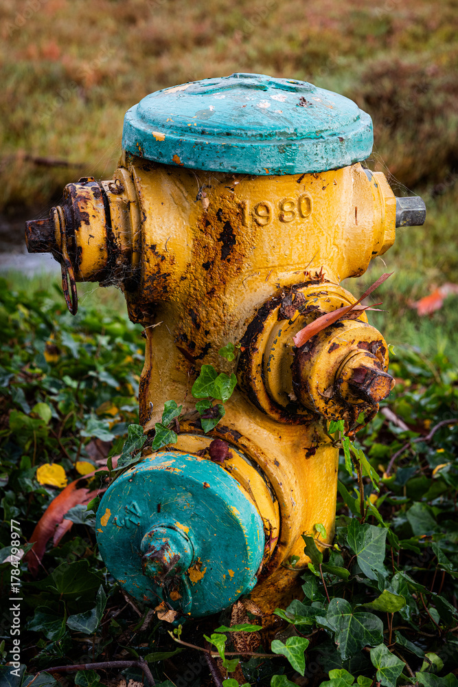 Fototapeta premium A weathered, yellow and turquoise fire hydrant outside a residential complex.