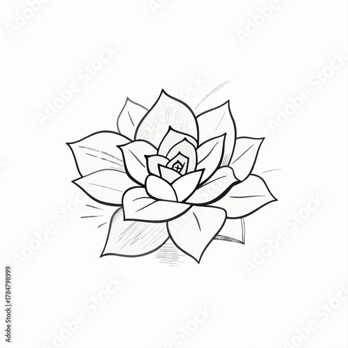 Minimalist Black and White Succulent Flower Sketch Design