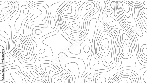 Topographic Contour Map Background. Abstract Vector Wave Grid With Mountain Relief. This Title Retains The Essential Keywords (Topographic, Vector, Contour, Map, Wave, Mountain) Abstract topographic.