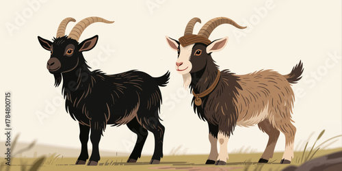 Two Friendly Goats Standing Side By Side