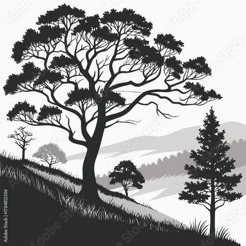 Silhouette of trees on a grassy hillside with rolling hills in the background