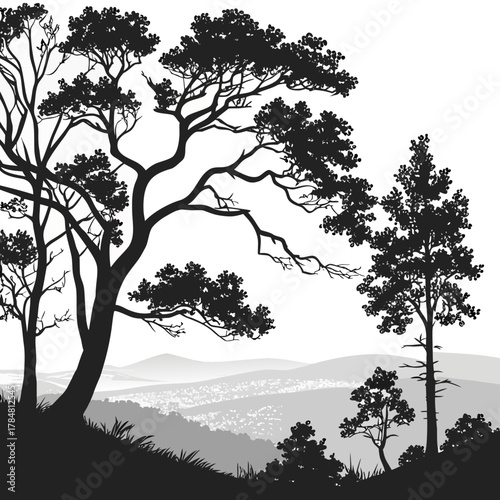 Silhouette of pine trees overlooking a hazy landscape and town