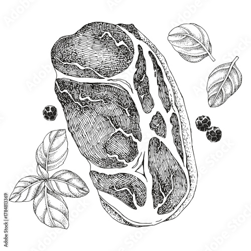 Boneless pork butt vector sketched illustration