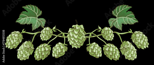 Hand drawn hop vignette vector